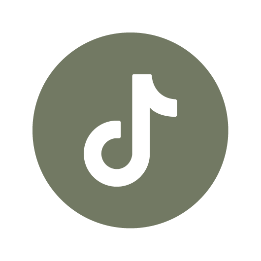 logo tiktok transparent