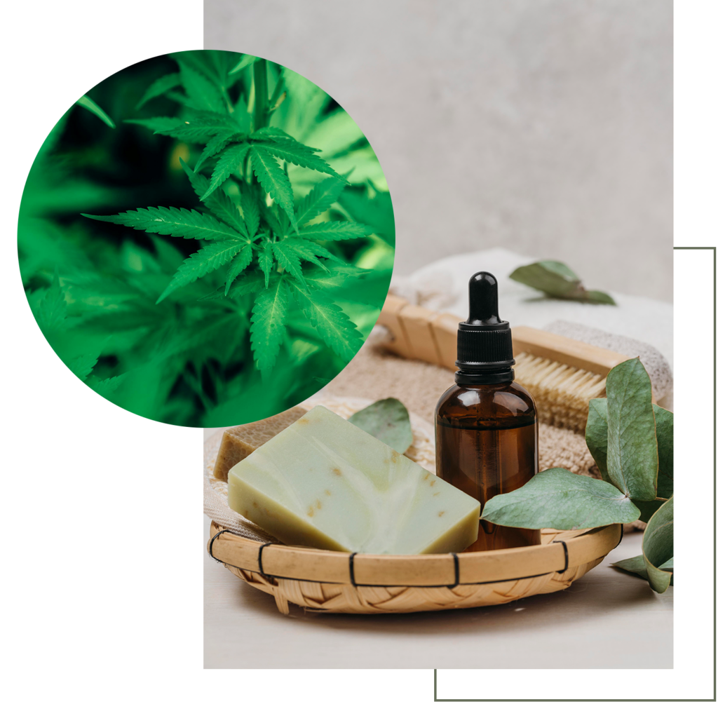 Notre gamme de produits phyto-thérapeutiques utilisent de nouvelles molécules.