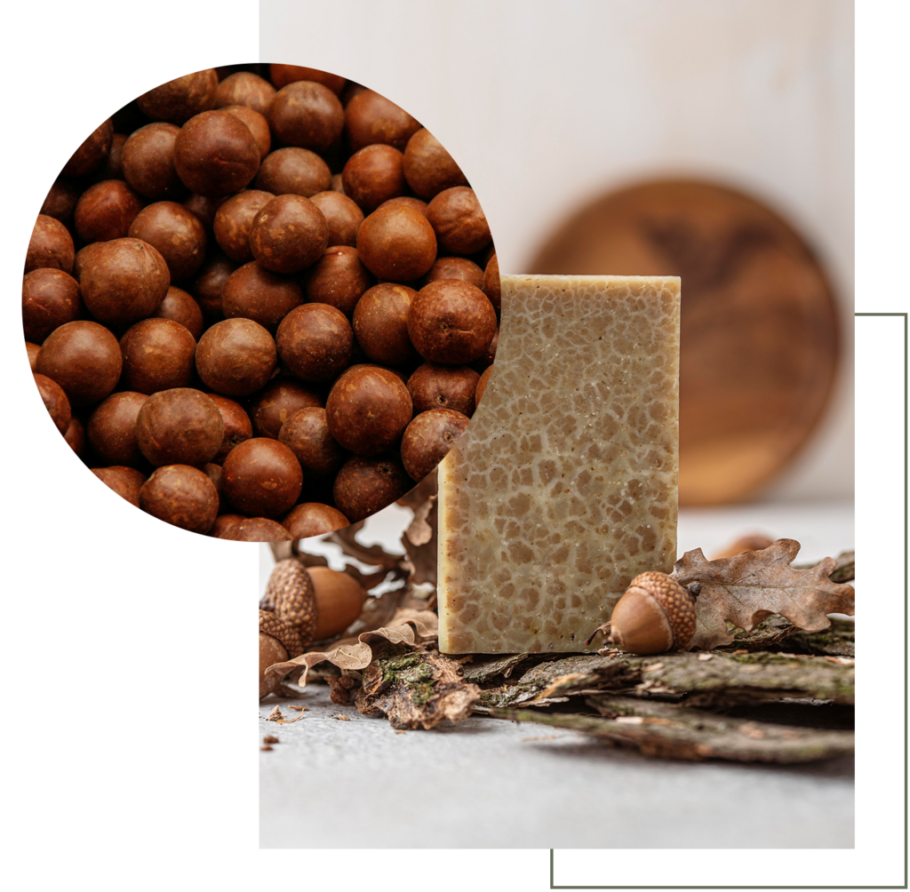 Présentation d'un savon solide