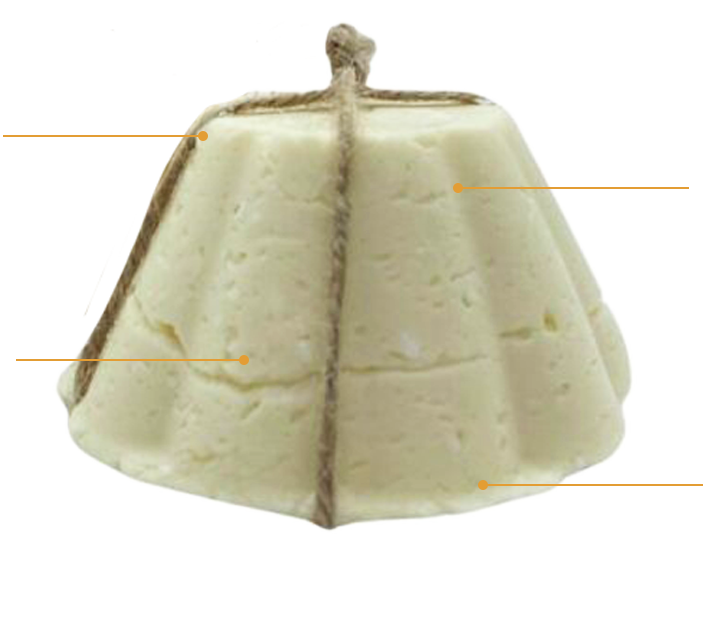shampoing solide camomille avec trait