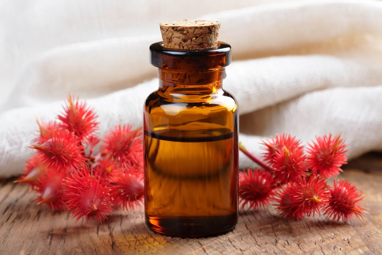 Huile de ricin pour les cheveux : le soin miracle